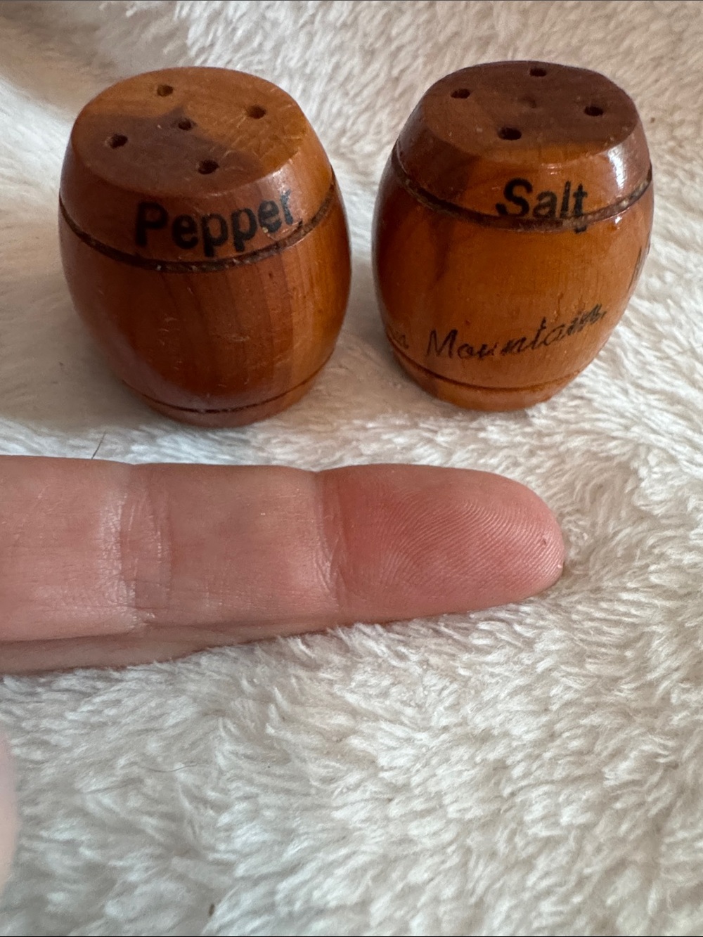 Vintage Wooden Barrel Salt and Pepper Shakers Mountains NC Souvenir Set